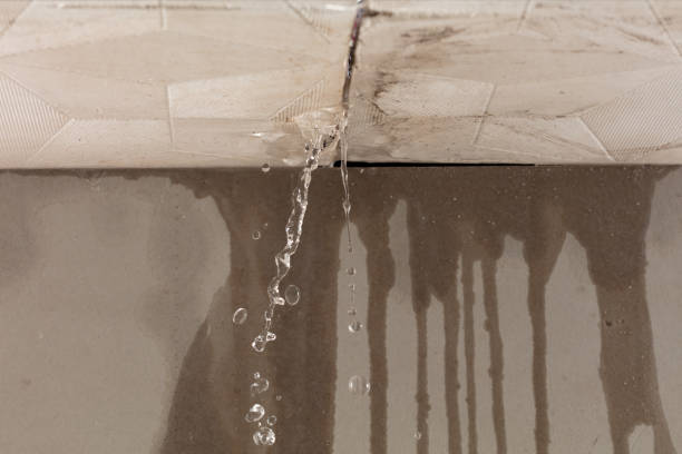 Professional Water Damage Inspection technician working in Farmersville, OH